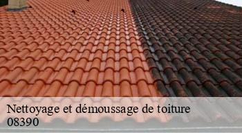 Nettoyage et démoussage de toiture  08390