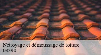 Nettoyage et démoussage de toiture  08390