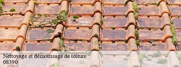 Nettoyage et démoussage de toiture  les-grandes-armoises-08390 DH Tout travaux toiture