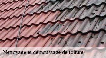 Nettoyage et démoussage de toiture  08230