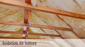 Isolation de toiture 08170