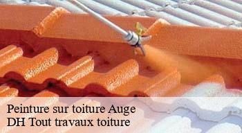 Peinture sur toiture 08380