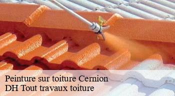 Peinture sur toiture 08260