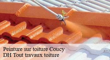 Peinture sur toiture 08300