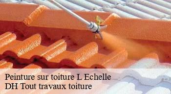 Peinture sur toiture  08150