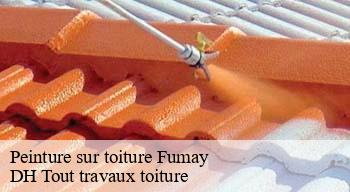 Peinture sur toiture 08170