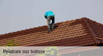 Peinture sur toiture 08440