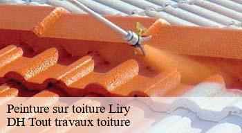 Peinture sur toiture 08400