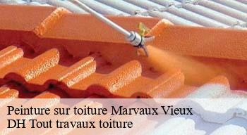 Peinture sur toiture 08400