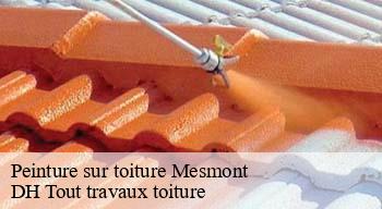 Peinture sur toiture 08270