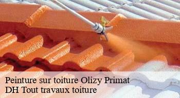 Peinture sur toiture  08250