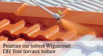 Peinture sur toiture 08270