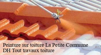 Peinture sur toiture  08800