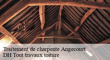 Traitement de charpente  08450