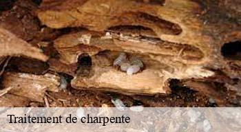 Traitement de charpente  08380