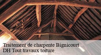 Traitement de charpente  08310