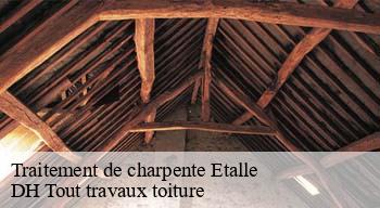 Traitement de charpente  08260